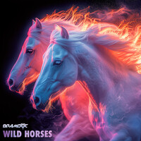 Wild Horses