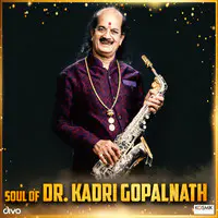 Soul Of Dr. Kadri Gopalnath