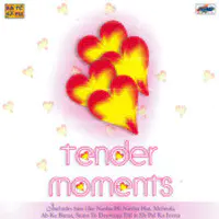 Tender Moments (remix)