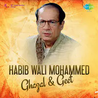 Habib Wali Mohammed - Ghazal And Geet