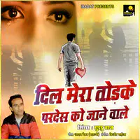 Dil Mera Todke Pardes Ko Jane Wale