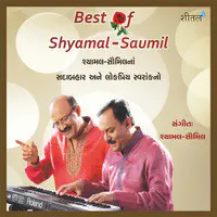 Best of Shyamal Saumil
