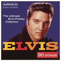 Elvis Presley Stuck on You Lyrics