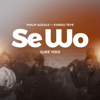 Se Wo (Like You)