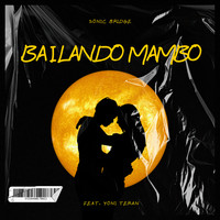 Bailando Mambo