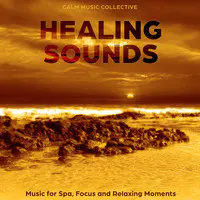 Healing Sounds: Music for Spa, Focus and Relaxing Moments