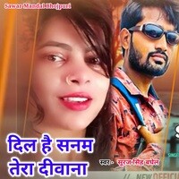 Dil Hai Sanam Tera Diwana