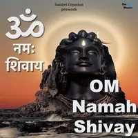 Om Namah Shivay