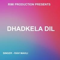 Dhadkela Dil ( Nagpuri Song )