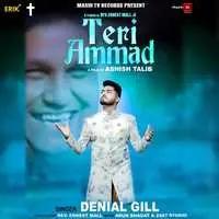 Teri Ammad