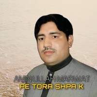 PE TORA SHPA K