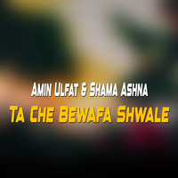 Ta Che Bewafa Shwale