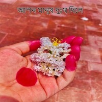 আপন মানুষ দুঃখ দিলে