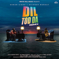 Dil Tod Da (Remix) (Remix Version)