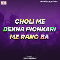 Choli Me Dekha Pichkari Me Rang Ba