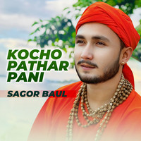 Kochu Pater Pani