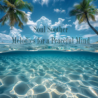 Soul Soother Melodies for a Peaceful Mind