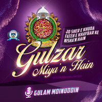 Gulzar Miyan Hain