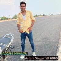 Aslam Singer SR 6060