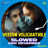 Veesum Velichathile - Slowed n Reverbed