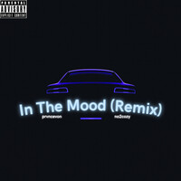 In the Mood (Remix)