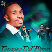 Dj bravo champion mp3 song download 320kbps on sale