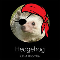 Hedgehog on a Roomba