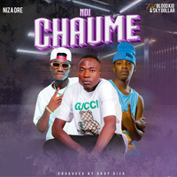 Ndi Chaume