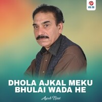 Dhola Ajkal Meku Bhulai Wada He