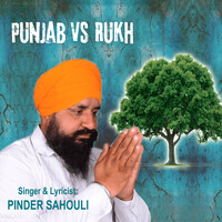 Punjab vs Rukh