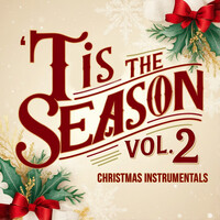 'Tis the Season, Vol. 2 (Christmas Instrumentals)