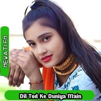 Dil Tod Ke Duniya Main