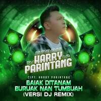 Harry Parintang - Baiak Ditanam Buruak Nan Tumbuah (Versi DJ Remix)