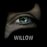 Willow (Slowed & Reverb)