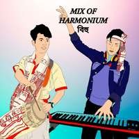 Mix Of Harmonium Bihu