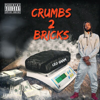 Crumbs 2 Bricks