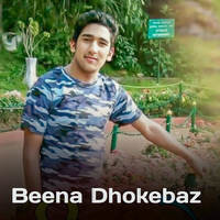 Beena Dhokebaz