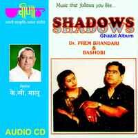 Shadows - Ghazal Album
