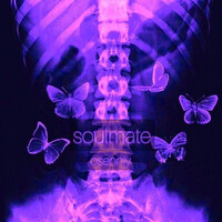 Soulmate Song Download: Play & Listen Soulmate Russian MP3 Song @Gaana