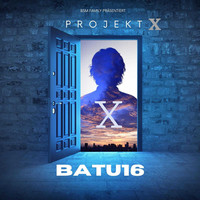 Projekt X