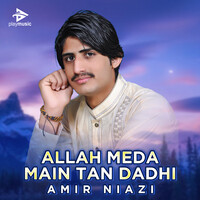 Allah Meda Main Tan Dadhi