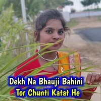 Dekh Na Bhauji Bahini Tor Chunti Katat He
