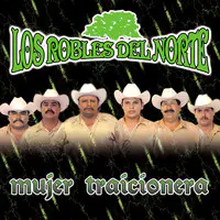 El Corrido de la India MP3 Song Download by Los Robles del Norte (Mujer  Traicionera)| Listen El Corrido de la India Spanish Song Free Online