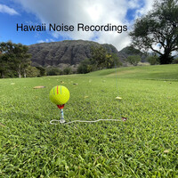 Hawaii (Noise Recording 2)