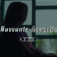 Nuvvunte  Acoustic