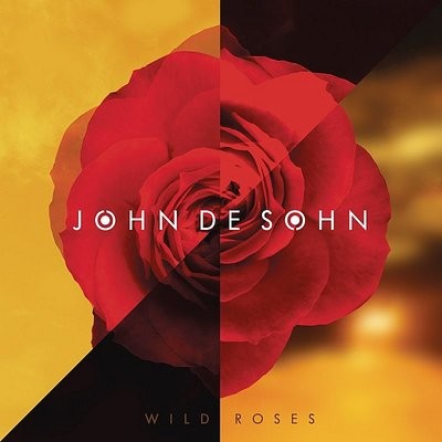 Wild Roses (Radio Edit) Song|John De Sohn|Wild Roses| Listen To.