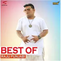 Best of Raju Punjabi