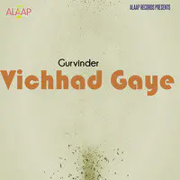 Vichhad Gaye