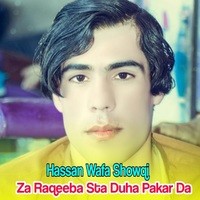 Hassan Wafa Showqi