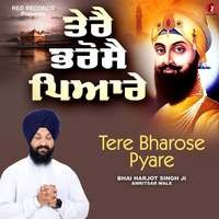 Tere Bharose Pyaree